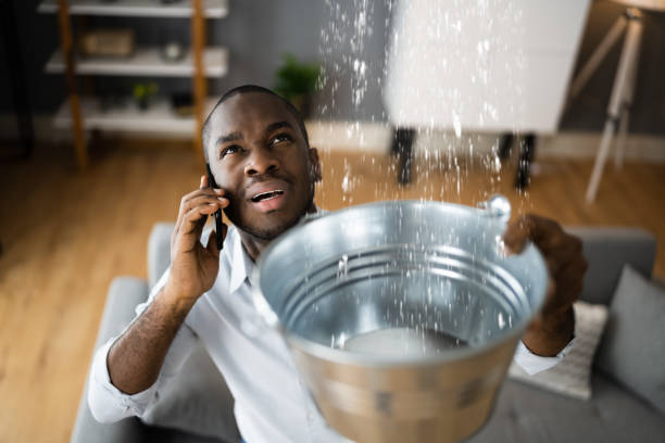 Best Residential water damage restoration  in Alexandria, MN