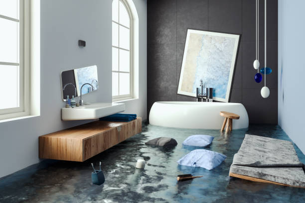 Best 24/7 water damage repair  in Alexandria, MN