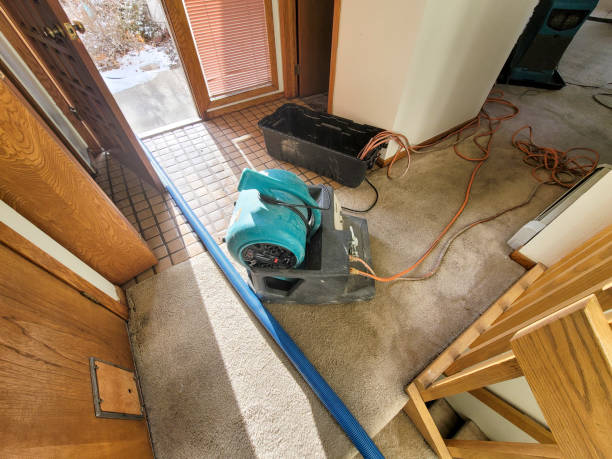 Best Water damage restoration near me  in Alexandria, MN