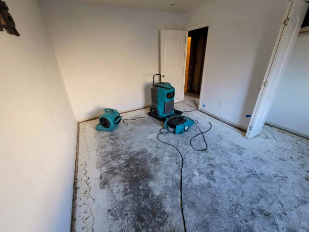 Best Basement water damage restoration  in Alexandria, MN