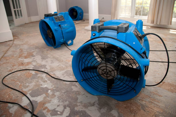 Best Professional water damage repair  in Alexandria, MN
