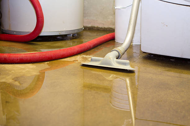 Best Water damage mitigation services  in Alexandria, MN