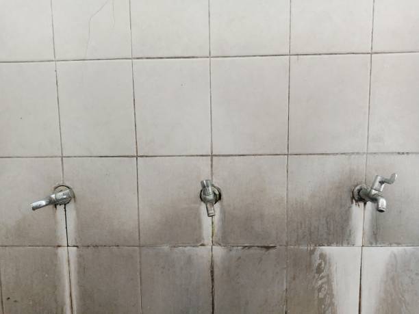 Best 24-hour water damage restoration  in Alexandria, MN