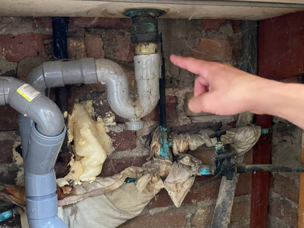 Best Local water damage restoration  in Alexandria, MN
